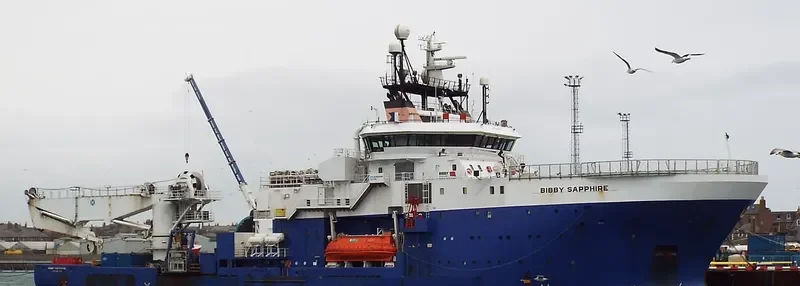 REVER SAPPHIRE Offshore Vessel IMO 9268150 photo 3