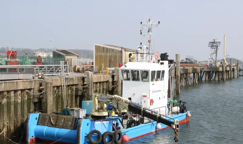 DENIS MURPHY General Cargo IMO 9268784 photo 7