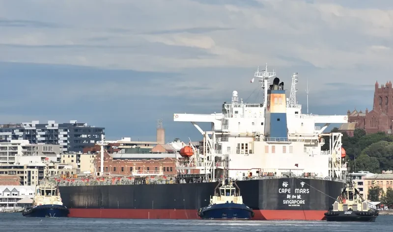 CAPE BOSS Bulk Carrier IMO 9268796 photo 3