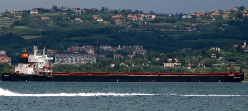 HUANG SHAN Bulk Carrier IMO 9268813 photo 10