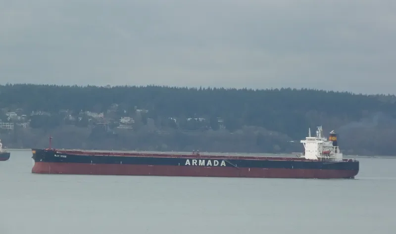 ETOILE Bulk Carrier IMO 9268825 photo 9