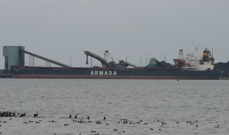ETOILE Bulk Carrier IMO 9268825 photo 10