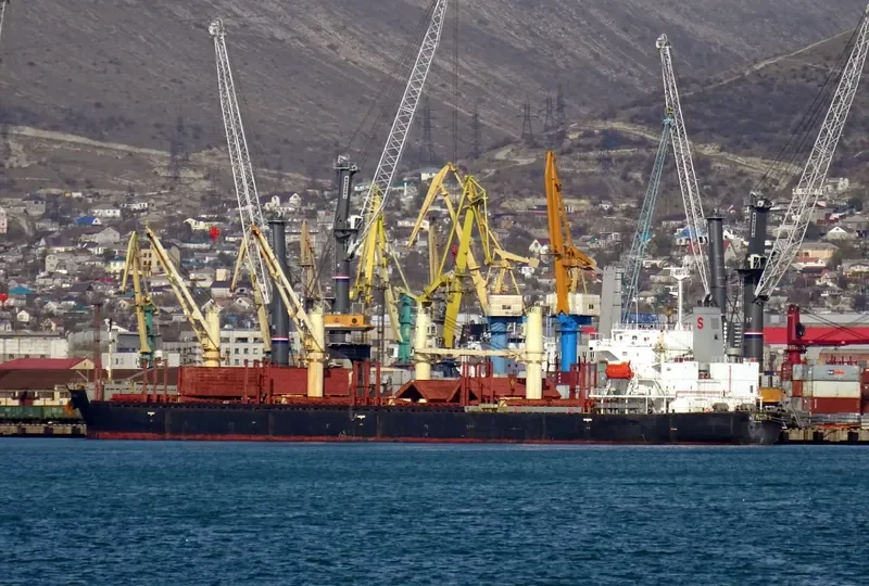 S BRAND Bulk Carrier IMO 9268916