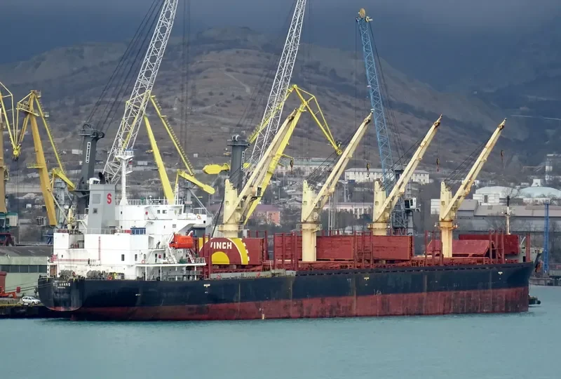 S BRAND Bulk Carrier IMO 9268916 photo 3
