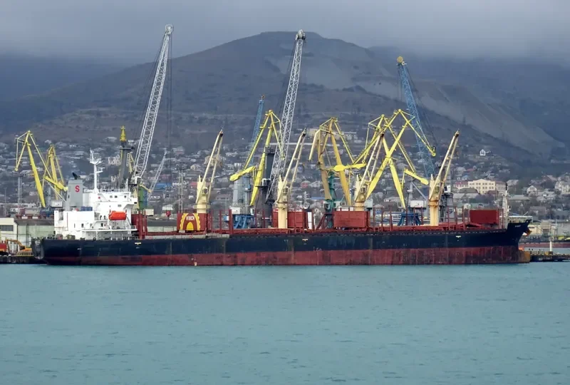 S BRAND Bulk Carrier IMO 9268916 photo 4