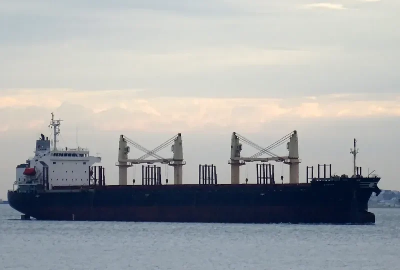 S BRAND Bulk Carrier IMO 9268916 photo 5