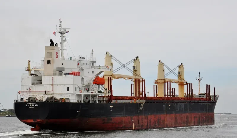 S BRAND Bulk Carrier IMO 9268916 photo 7