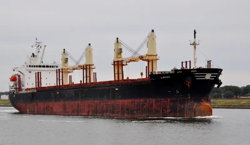 S BRAND Bulk Carrier IMO 9268916 photo 8
