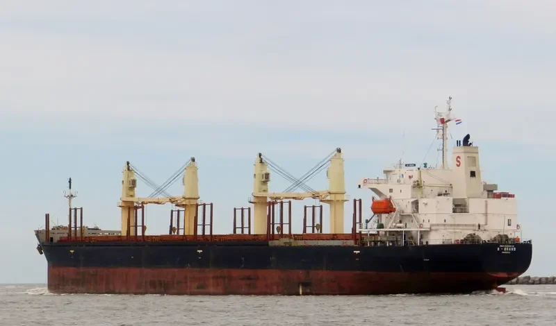 S BRAND Bulk Carrier IMO 9268916 photo 9