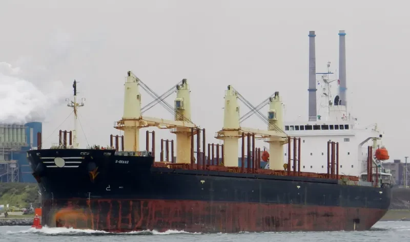 S BRAND Bulk Carrier IMO 9268916 photo 10