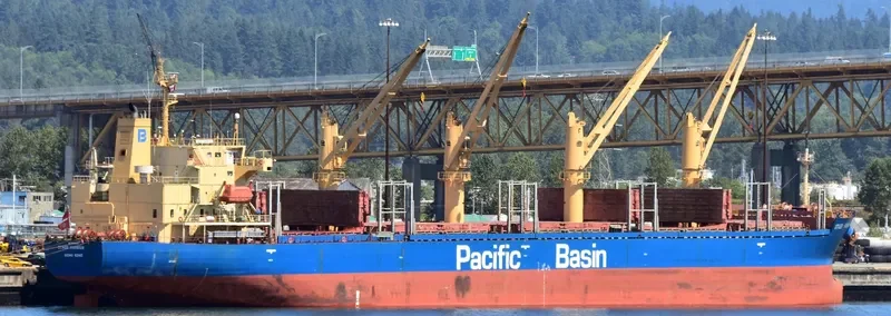 OTAGO HARBOUR Bulk Carrier IMO 9268928