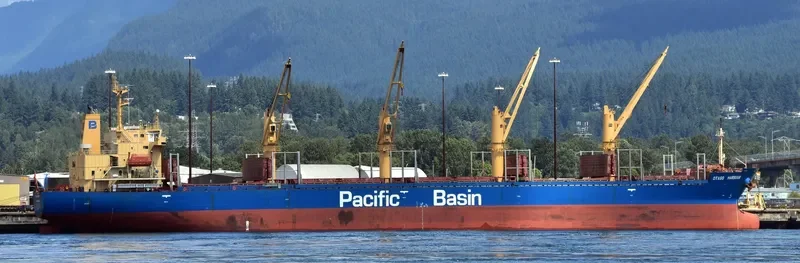 OTAGO HARBOUR Bulk Carrier IMO 9268928 photo 2