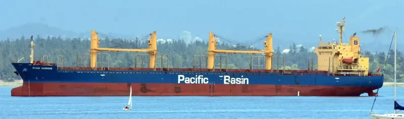 OTAGO HARBOUR Bulk Carrier IMO 9268928 photo 6
