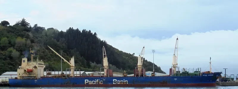 OTAGO HARBOUR Bulk Carrier IMO 9268928 photo 10