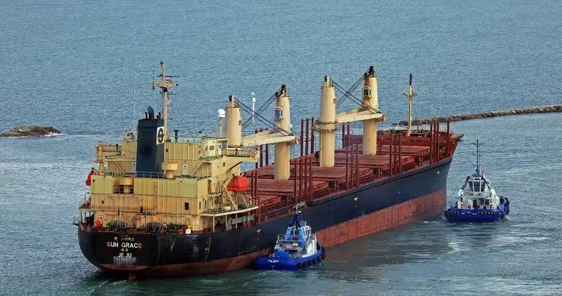 SUN GRACE Bulk Carrier IMO 9268930 photo 3