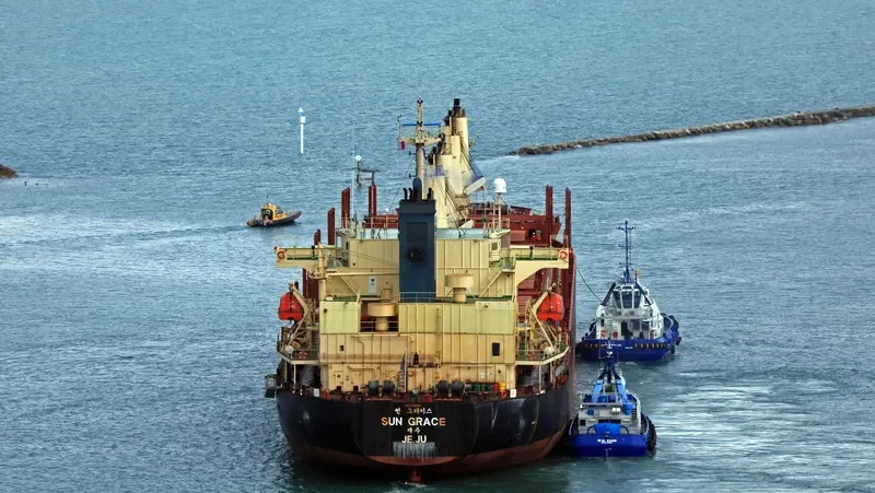 SUN GRACE Bulk Carrier IMO 9268930 photo 4