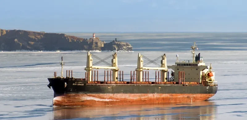 SUN GRACE Bulk Carrier IMO 9268930 photo 10