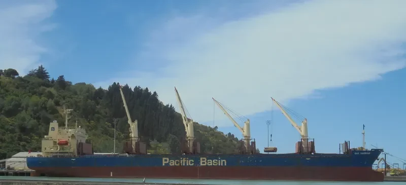OAK HARBOUR Bulk Carrier IMO 9268942