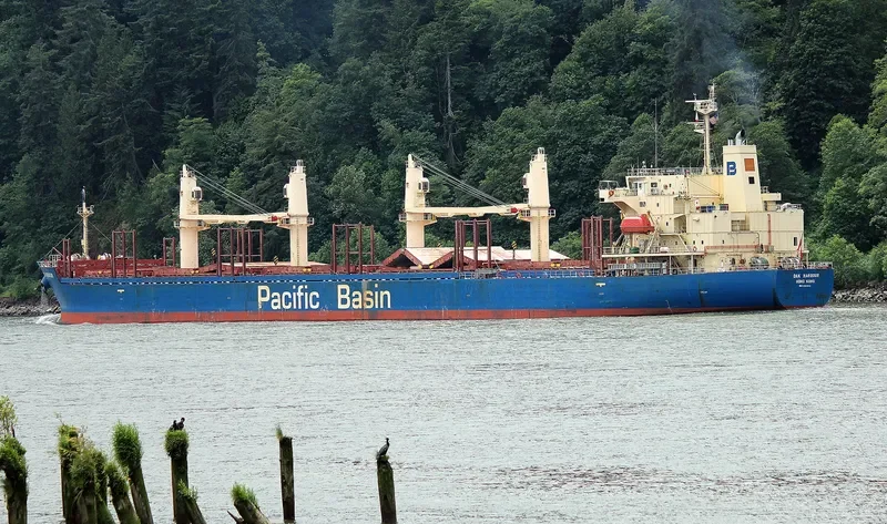 OAK HARBOUR Bulk Carrier IMO 9268942 photo 2