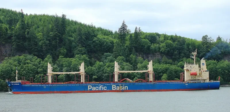 OAK HARBOUR Bulk Carrier IMO 9268942 photo 3