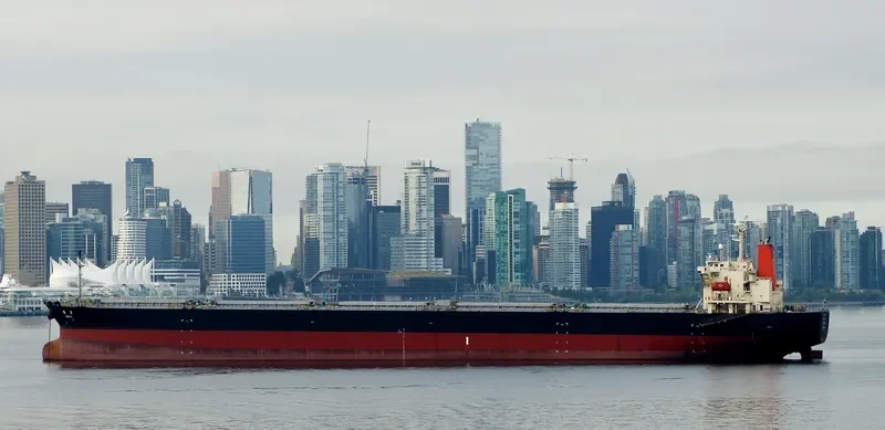 JR SUMMER Bulk Carrier IMO 9268954 photo 9