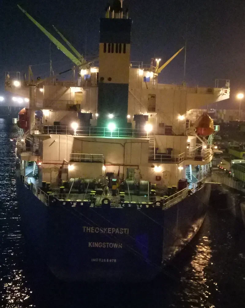 THEOSKEPASTI Bulk Carrier IMO 9268978