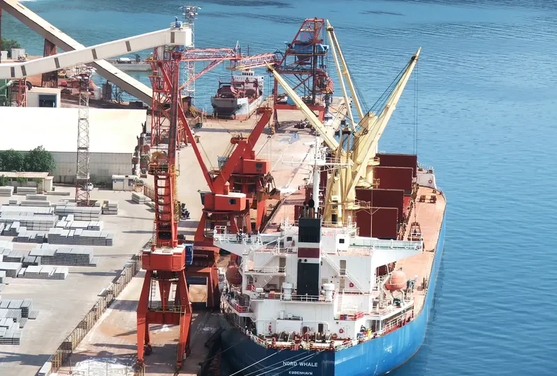 THEOSKEPASTI Bulk Carrier IMO 9268978 photo 6