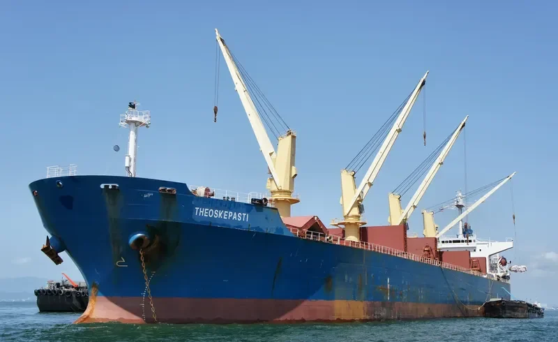THEOSKEPASTI Bulk Carrier IMO 9268978 photo 8