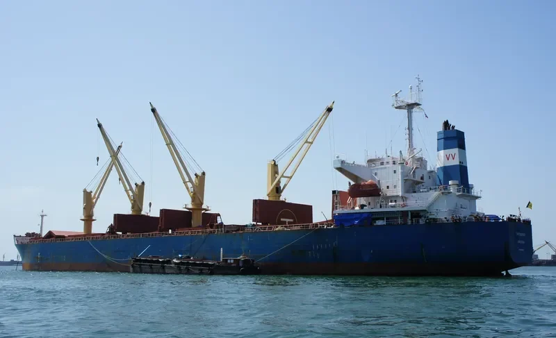 THEOSKEPASTI Bulk Carrier IMO 9268978 photo 9