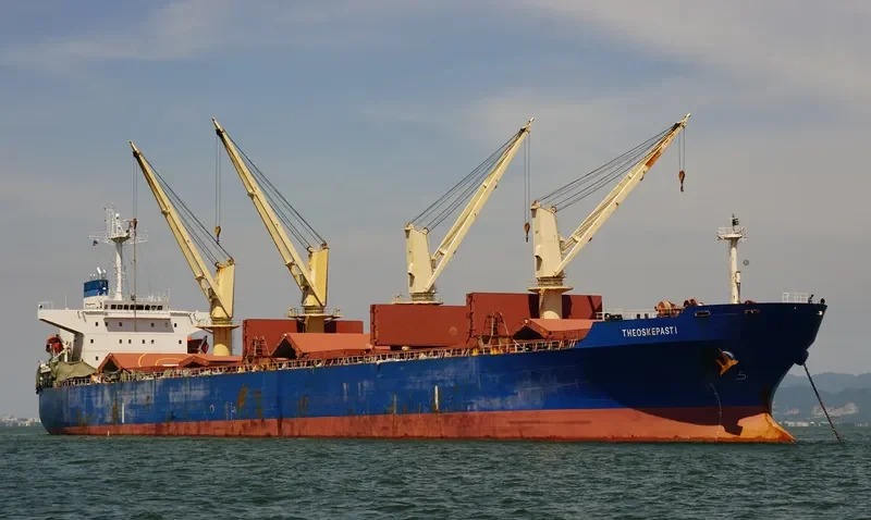 THEOSKEPASTI Bulk Carrier IMO 9268978 photo 10