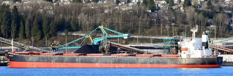 OMICRON NIKOS Bulk Carrier IMO 9268980 photo 4