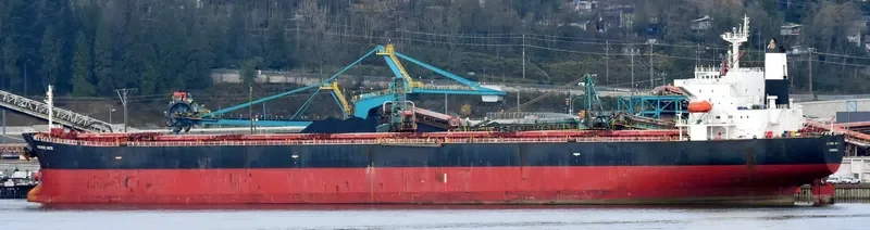 OMICRON NIKOS Bulk Carrier IMO 9268980 photo 6