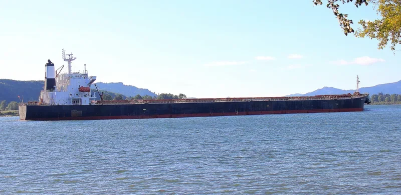 OMICRON NIKOS Bulk Carrier IMO 9268980 photo 8