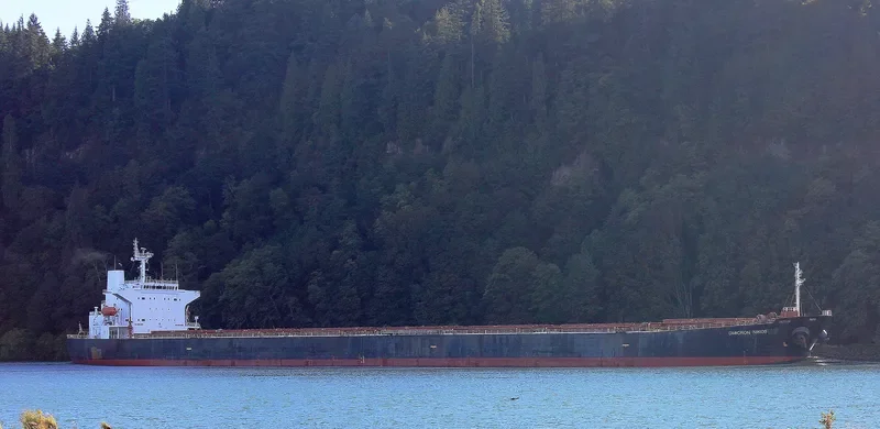 OMICRON NIKOS Bulk Carrier IMO 9268980 photo 10