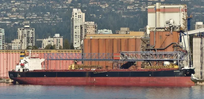SALDANHA Bulk Carrier IMO 9268992 photo 2