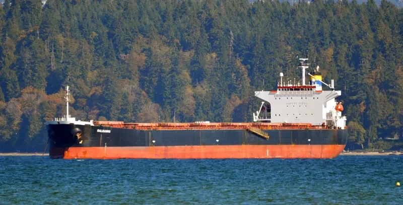SALDANHA Bulk Carrier IMO 9268992 photo 3