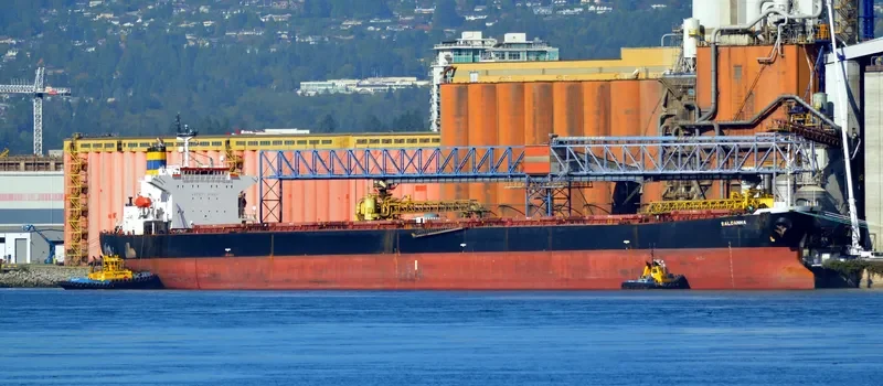 SALDANHA Bulk Carrier IMO 9268992 photo 4