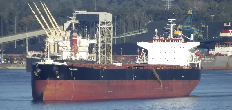 SALDANHA Bulk Carrier IMO 9268992 photo 5