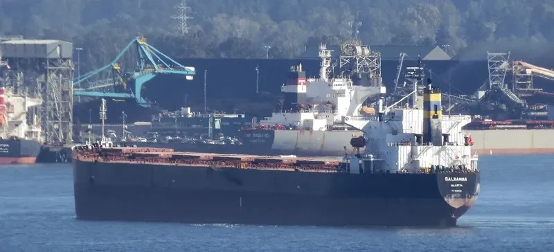 SALDANHA Bulk Carrier IMO 9268992 photo 6