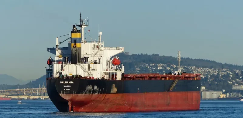 SALDANHA Bulk Carrier IMO 9268992 photo 7