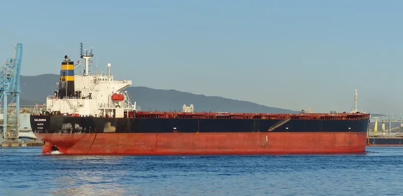 SALDANHA Bulk Carrier IMO 9268992 photo 8
