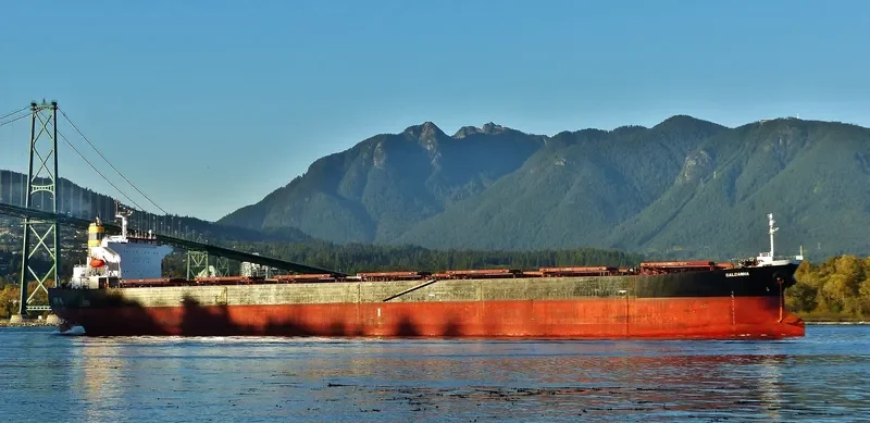 SALDANHA Bulk Carrier IMO 9268992 photo 9