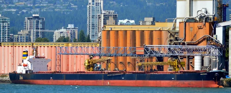 SALDANHA Bulk Carrier IMO 9268992 photo 10