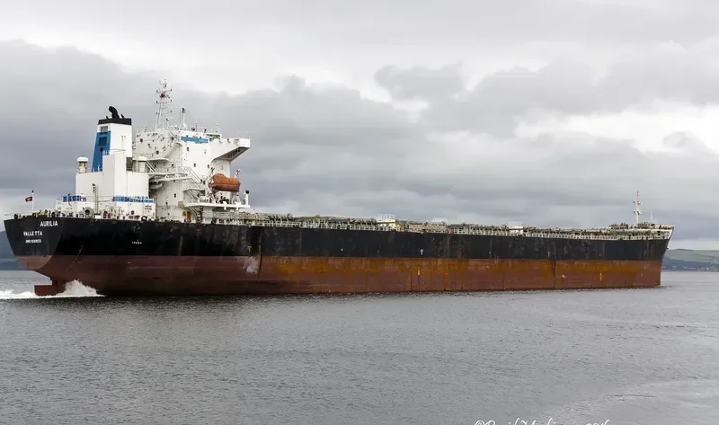 SEAPOWER II Bulk Carrier IMO 9269233 photo 10