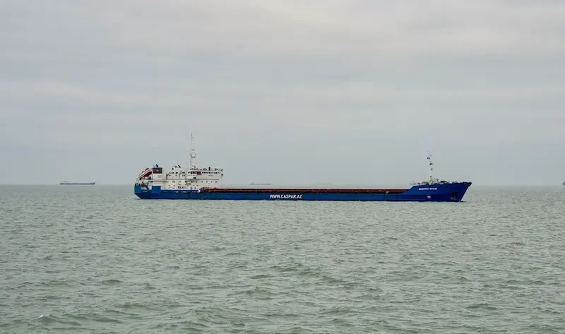 MAESTRO NIYAZI General Cargo IMO 9269295