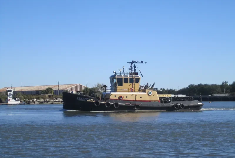 SAVANNAH General Cargo IMO 9269738 photo 2
