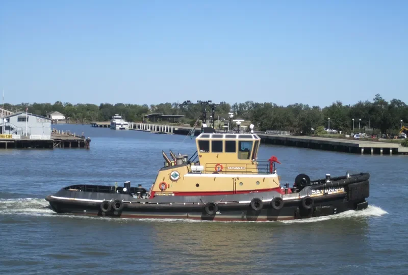 SAVANNAH General Cargo IMO 9269738 photo 4