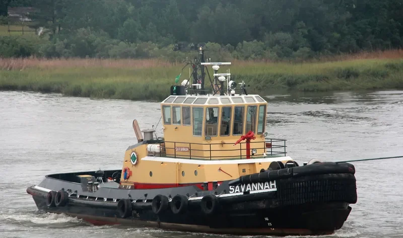 SAVANNAH General Cargo IMO 9269738 photo 9