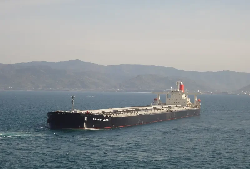 CAPE TOUCAN Bulk Carrier IMO 9270567 photo 5