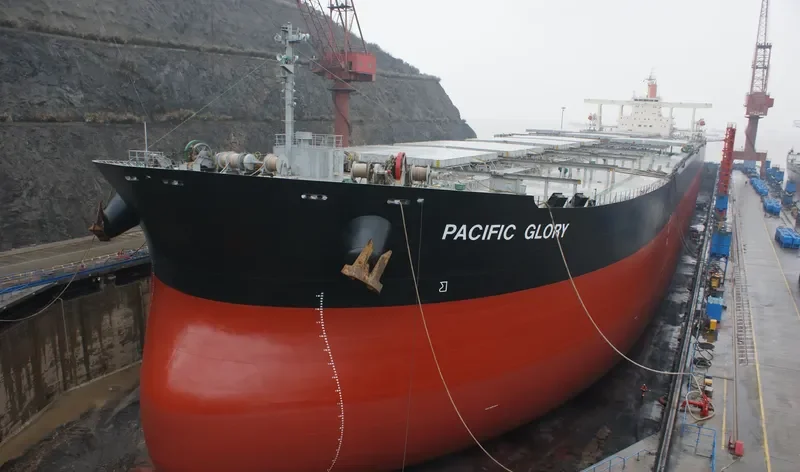 CAPE TOUCAN Bulk Carrier IMO 9270567 photo 7